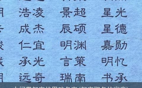 中间带智字的男孩名字(智字取名的寓意)