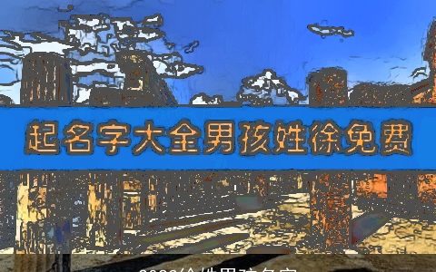 2024徐姓男孩名字