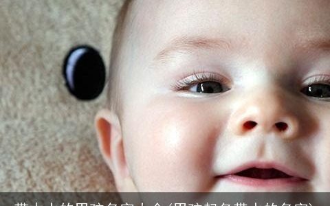 带木水的男孩名字大全(男孩起名带水的名字)