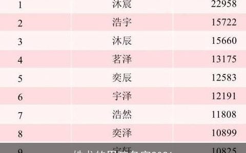 姓龙的男孩名字2021