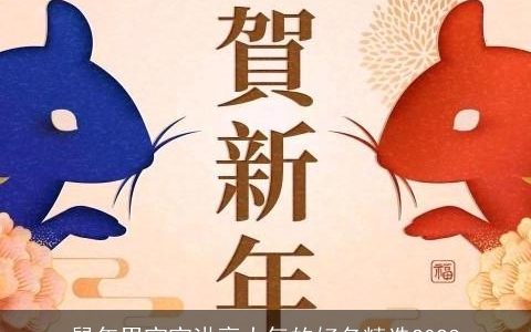 鼠年男宝宝洪亮大气的好名精选2024