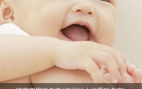 猪宝宝男孩名字(五行缺木的男孩名字)