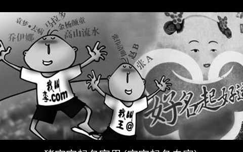 猪宝宝起名宜用(宝宝起名专家)