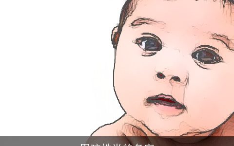 男孩姓肖的名字