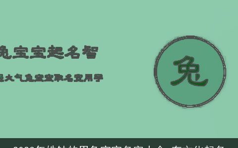 2023年姓钟的男兔宝宝名字大全 有文化起名