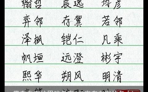 带有泰字的男孩名字(名字有泰字的名人)