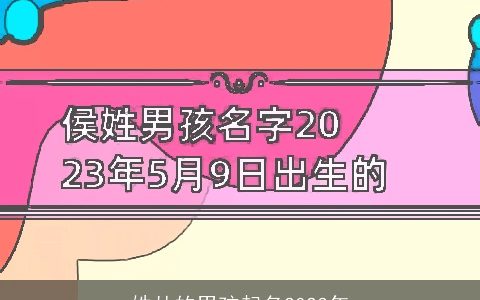 姓丛的男孩起名2024年
