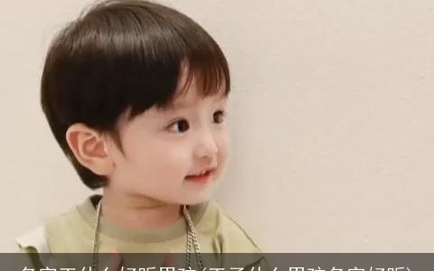 名字王什么好听男孩(王子什么男孩名字好听)