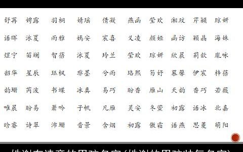 姓谢有诗意的男孩名字(姓谢的男孩帅气名字)