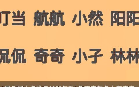 属龙取小名乳名2024年款 龙宝宝起名小字宝字