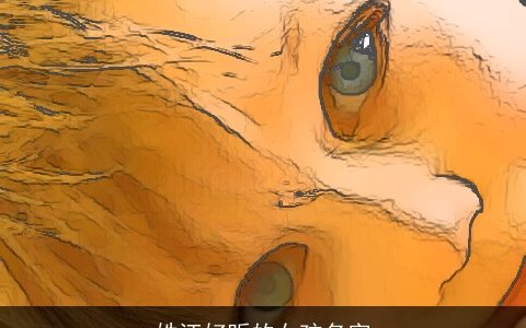 姓汪好听的女孩名字