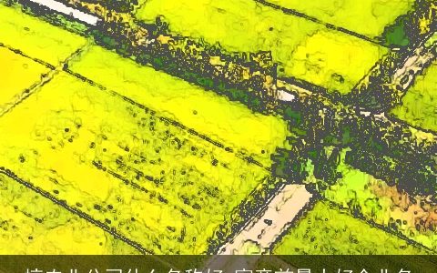 搞农业公司什么名称好 寓意前景大好企业名