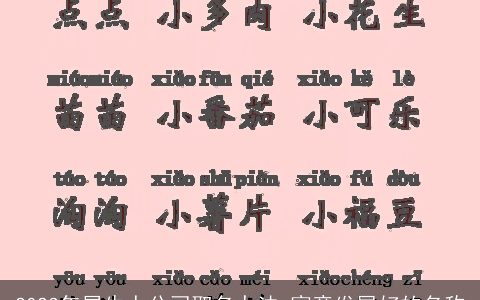 2024年属龙人公司取名办法 寓意发展好的名称