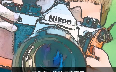 带凡字的男孩名字寓意