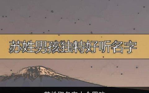 苏姓取名字大全男孩