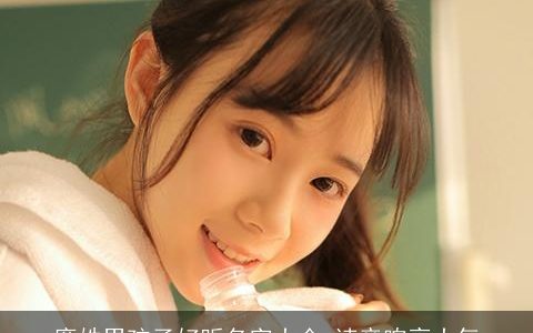 廉姓男孩子好听名字大全 读音响亮大气