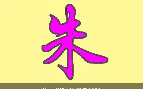 朱姓男孩儿取名2023