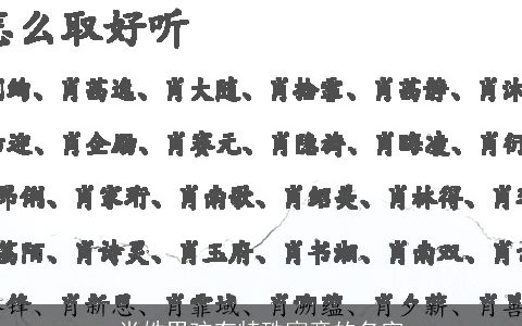 肖姓男孩有特殊寓意的名字