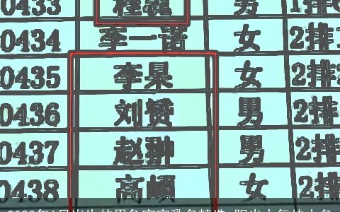 2024年1月出生的男龙宝宝乳名精选 阳光大气的小名