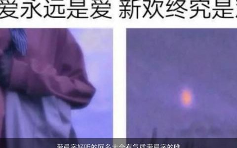 带晨字好听的网名大全有气质带晨字的唯美名字 好听气质唯美的带晨字网名名字