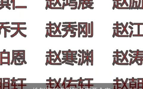 姓赵取名字男孩名字两个字