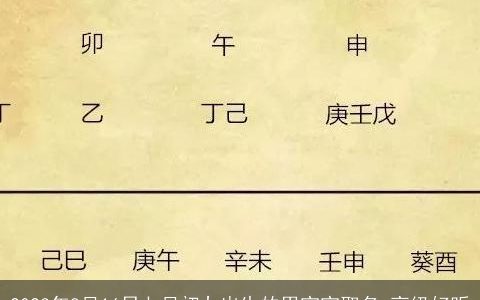 2023年8月16日七月初九出生的男宝宝取名 高级好听