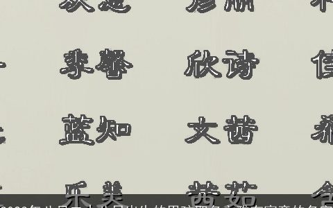 2023年八月二十八日出生的男孩取名文雅有寓意的名字