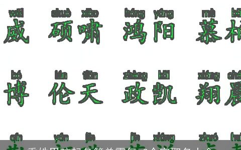 季姓男孩起名简单霸气 3个字取名大全