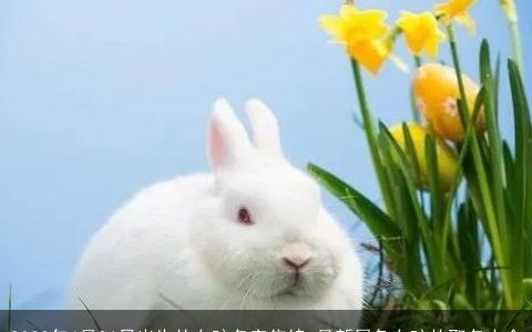 2023年4月26日出生的女孩名字集锦 最新属兔女孩的取名大全