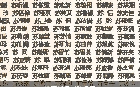 姓苏取名男孩名字