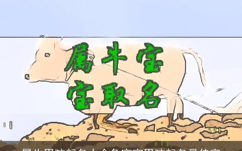 属牛男孩起名大全兔宝宝男孩起名最佳字
