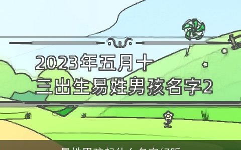 易姓男孩起什么名字好听