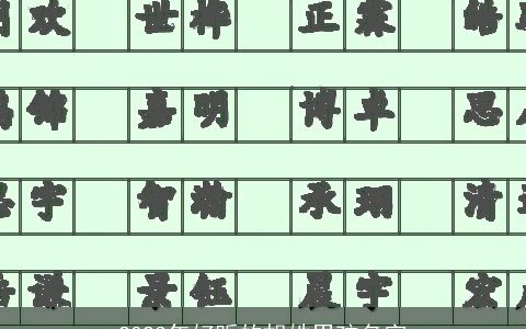 2024年好听的胡姓男孩名字