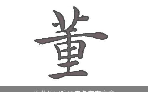 姓董的男孩四字名字有寓意