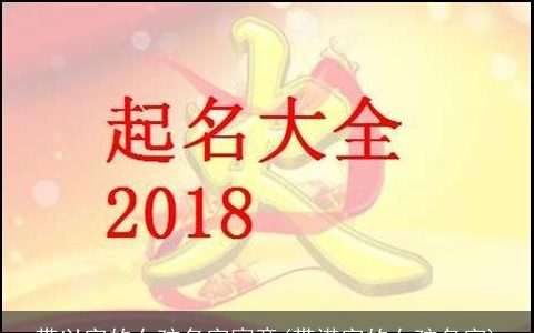 带以字的女孩名字寓意(带诺字的女孩名字)