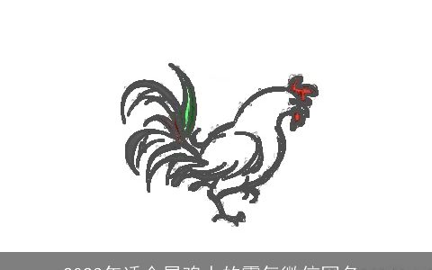 2024年适合属鸡人的霸气微信网名_