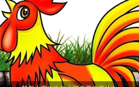 鼠年小寒出生的人取名要注意什么