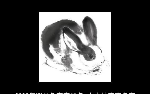 2023年四月兔宝宝取名 大方的宝宝名字