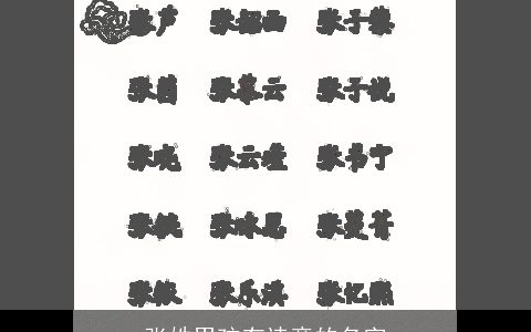 张姓男孩有诗意的名字