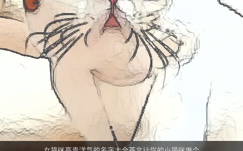 女猫咪高贵洋气的名字大全英文让你的小猫咪做个高贵的小公主 2024好听洋气的女英文名字大全