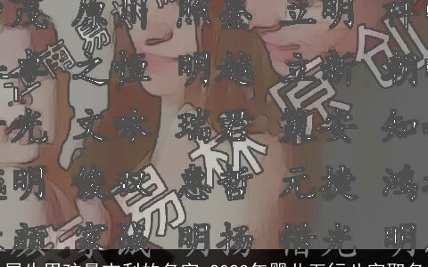 属牛男孩最吉利的名字 2024年婴儿五行八字取名