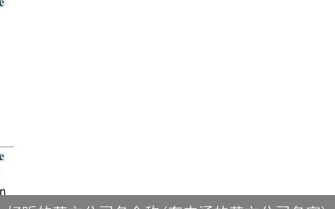 好听的英文公司名全称(有内涵的英文公司名字)