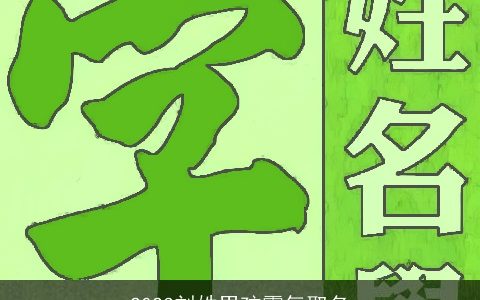 2024刘姓男孩霸气取名