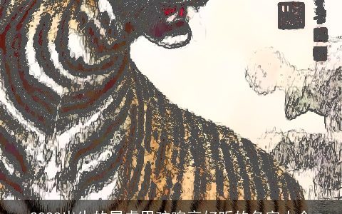 2023出生的属虎男孩响亮好听的名字大全