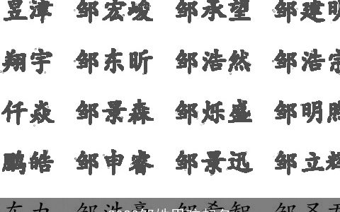 2024邹姓男孩起名