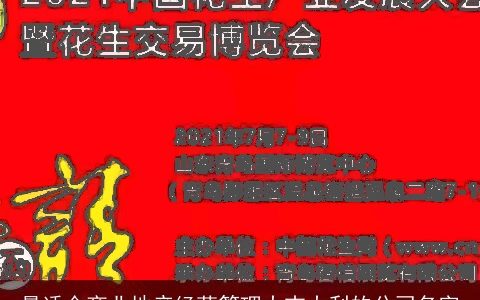 最适合商业地产经营管理大吉大利的公司名字