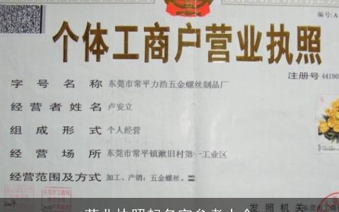 营业执照起名字参考大全
