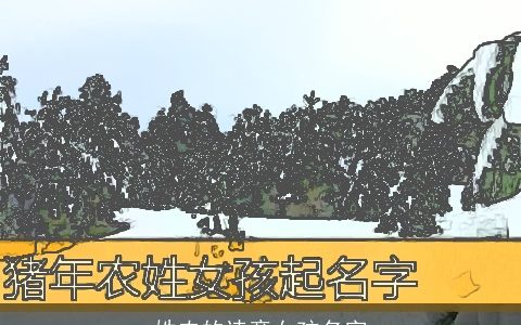 姓农的诗意女孩名字