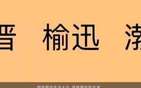 廖姓男孩名字大全 廖姓男孩取名寓意好得 稀少寓意的廖姓男孩名字挑选