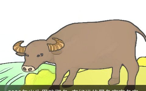 2023年出生男孩取名 有好运的属兔宝宝名字